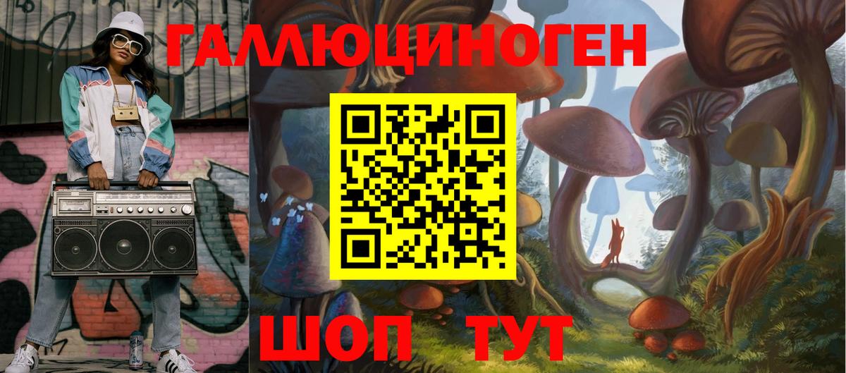 Галлюциногенные грибы Psilocybine cubensis Усть-Илимск