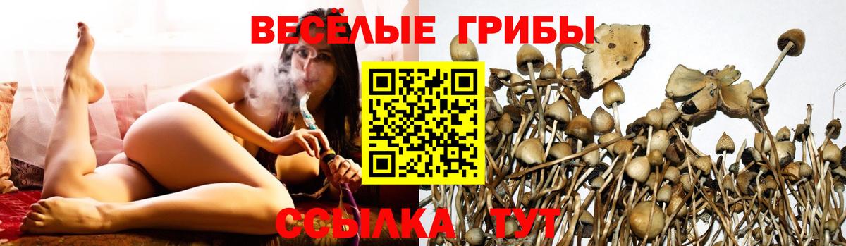 Галлюциногенные грибы Magic Shrooms  Галлюциногенные грибы прущие грибы  Вход с VPN  Усть-Илимск 